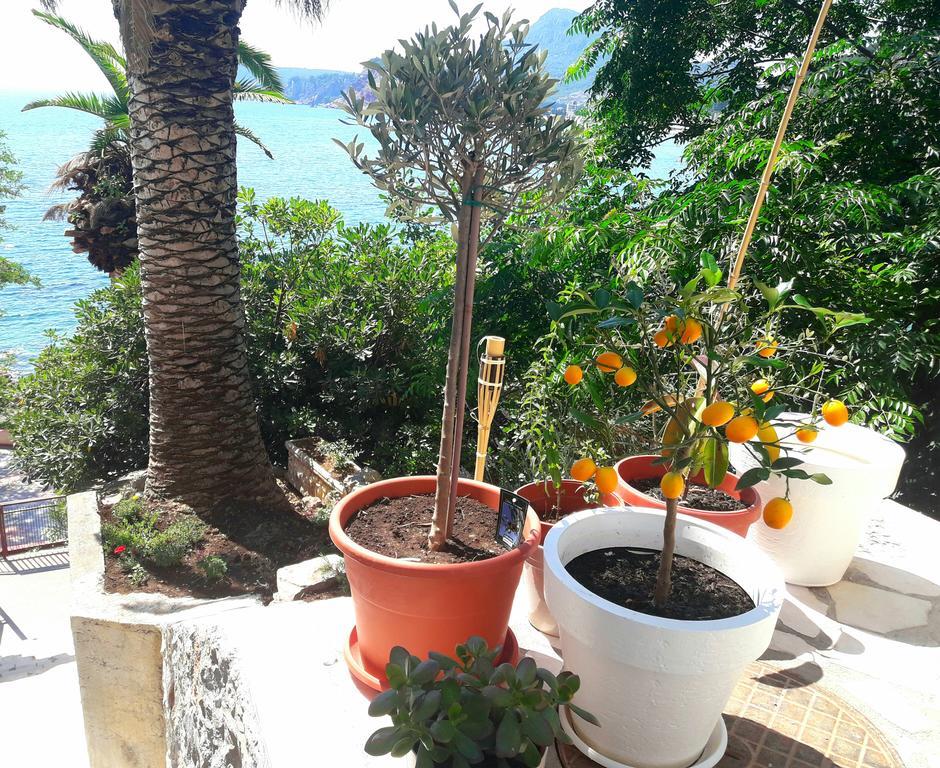Two Palms Apartment Sutomore Kültér fotó